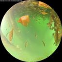 ./images/calvert/underwater/20260622/underwater20260622_113501M.jpg