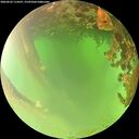 ./images/calvert/underwater/20260622/underwater20260622_114501M.jpg