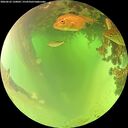 ./images/calvert/underwater/20260622/underwater20260622_120001M.jpg