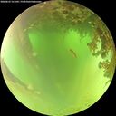 ./images/calvert/underwater/20260622/underwater20260622_121002M.jpg
