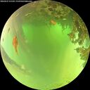 ./images/calvert/underwater/20260622/underwater20260622_121501M.jpg