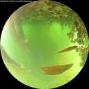 ./images/calvert/underwater/20260622/underwater20260622_122502M.jpg