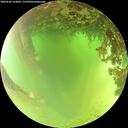 ./images/calvert/underwater/20260622/underwater20260622_123002M.jpg