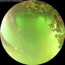 ./images/calvert/underwater/20260622/underwater20260622_123501M.jpg