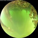 ./images/calvert/underwater/20260622/underwater20260622_124001M.jpg