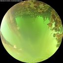 ./images/calvert/underwater/20260622/underwater20260622_124501M.jpg