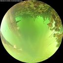 ./images/calvert/underwater/20260622/underwater20260622_125002M.jpg