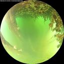 ./images/calvert/underwater/20260622/underwater20260622_125501M.jpg