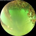 ./images/calvert/underwater/20260622/underwater20260622_130001M.jpg