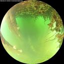 ./images/calvert/underwater/20260622/underwater20260622_130501M.jpg