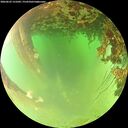 ./images/calvert/underwater/20260622/underwater20260622_131002M.jpg