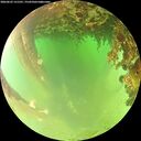 ./images/calvert/underwater/20260622/underwater20260622_131501M.jpg