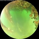 ./images/calvert/underwater/20260622/underwater20260622_132002M.jpg