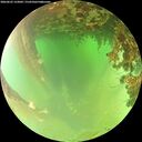 ./images/calvert/underwater/20260622/underwater20260622_133002M.jpg