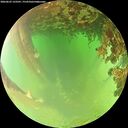 ./images/calvert/underwater/20260622/underwater20260622_133501M.jpg