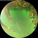 ./images/calvert/underwater/20260622/underwater20260622_134501M.jpg