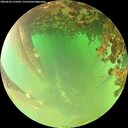 ./images/calvert/underwater/20260622/underwater20260622_135001M.jpg