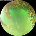 ./images/calvert/underwater/20260622/underwater20260622_135501M.jpg