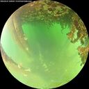 ./images/calvert/underwater/20260622/underwater20260622_140002M.jpg