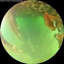 ./images/calvert/underwater/20260622/underwater20260622_140501M.jpg