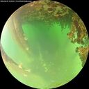 ./images/calvert/underwater/20260622/underwater20260622_141001M.jpg