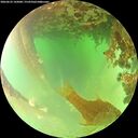 ./images/calvert/underwater/20260622/underwater20260622_142001M.jpg