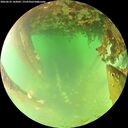 ./images/calvert/underwater/20260622/underwater20260622_143002M.jpg