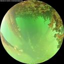 ./images/calvert/underwater/20260622/underwater20260622_144501M.jpg