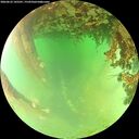 ./images/calvert/underwater/20260622/underwater20260622_145501M.jpg