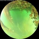 ./images/calvert/underwater/20260622/underwater20260622_150002M.jpg