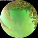 ./images/calvert/underwater/20260622/underwater20260622_150501M.jpg