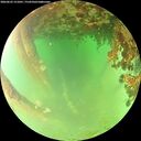 ./images/calvert/underwater/20260622/underwater20260622_151001M.jpg