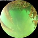 ./images/calvert/underwater/20260622/underwater20260622_151501M.jpg