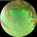 ./images/calvert/underwater/20260622/underwater20260622_152001M.jpg