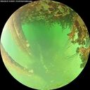 ./images/calvert/underwater/20260622/underwater20260622_153001M.jpg