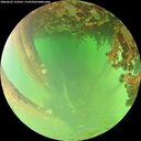 ./images/calvert/underwater/20260622/underwater20260622_153501M.jpg