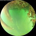 ./images/calvert/underwater/20260622/underwater20260622_160002M.jpg