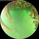 ./images/calvert/underwater/20260622/underwater20260622_161001M.jpg