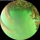 ./images/calvert/underwater/20260622/underwater20260622_161501M.jpg