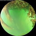 ./images/calvert/underwater/20260622/underwater20260622_162002M.jpg