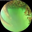 ./images/calvert/underwater/20260622/underwater20260622_164501M.jpg