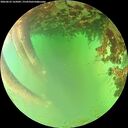 ./images/calvert/underwater/20260622/underwater20260622_165001M.jpg
