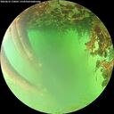 ./images/calvert/underwater/20260622/underwater20260622_170001M.jpg