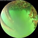 ./images/calvert/underwater/20260622/underwater20260622_170501M.jpg