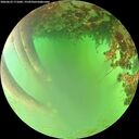 ./images/calvert/underwater/20260622/underwater20260622_171002M.jpg