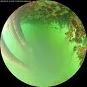 ./images/calvert/underwater/20260622/underwater20260622_171501M.jpg