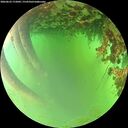 ./images/calvert/underwater/20260622/underwater20260622_172002M.jpg