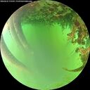 ./images/calvert/underwater/20260622/underwater20260622_172501M.jpg
