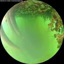 ./images/calvert/underwater/20260622/underwater20260622_173002M.jpg