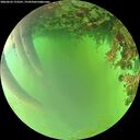 ./images/calvert/underwater/20260622/underwater20260622_173501M.jpg